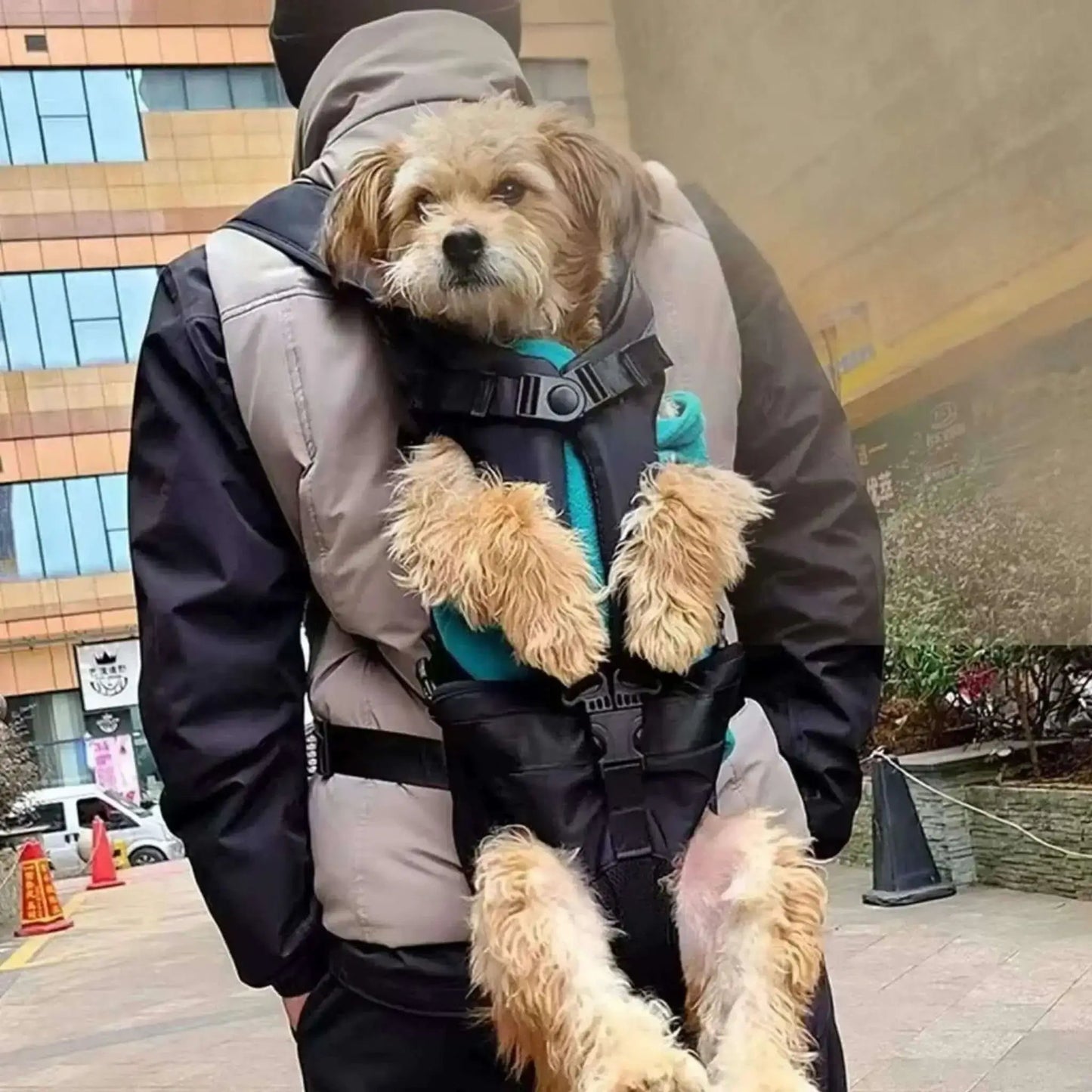 Sac A Dos Chien | DogGo™️ - Compagnon Idéal |Jolianimaux