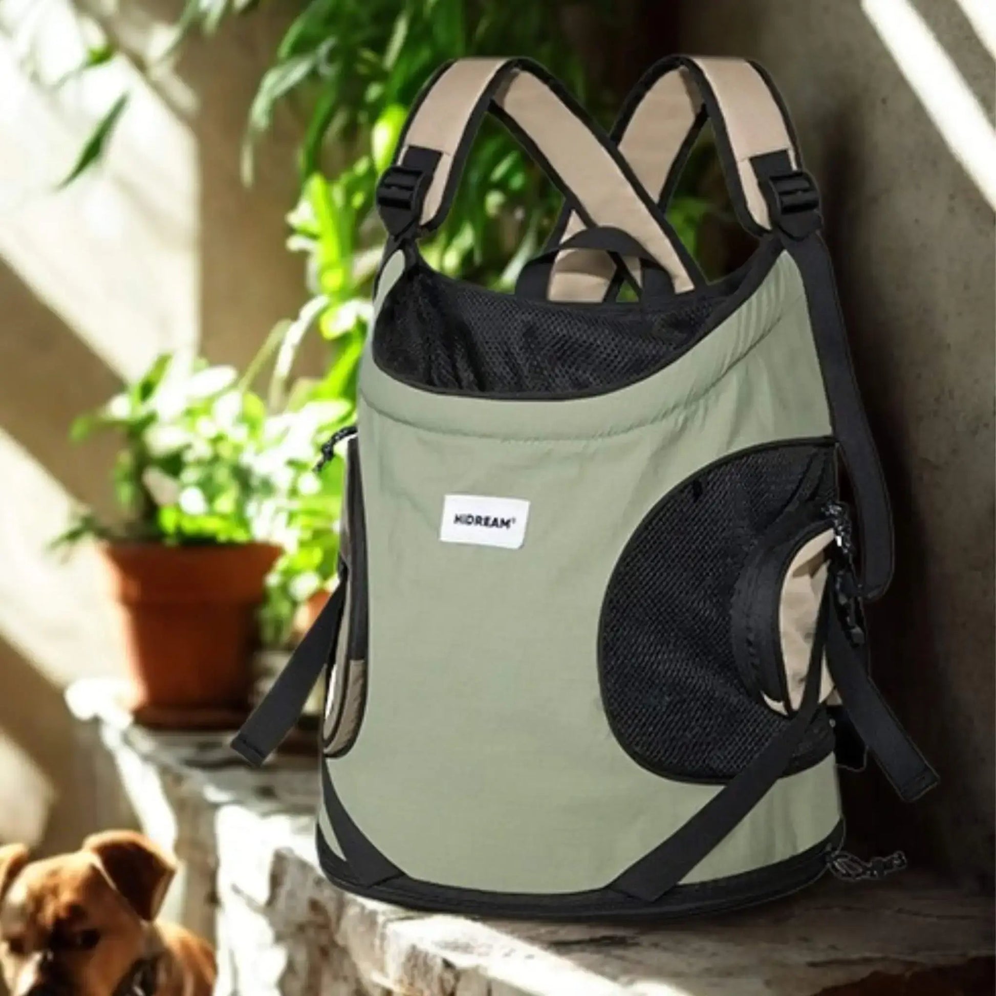 Sac A Dos Chien | AmiPorté™️ - L'Accessoire Indispensable |Jolianimaux