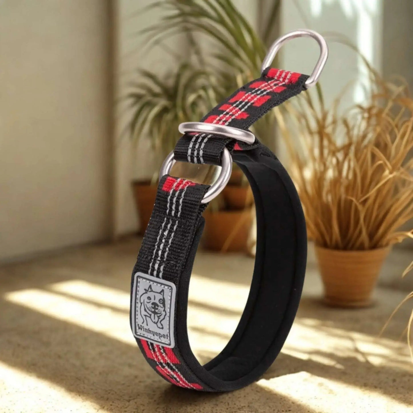 Collier Martingale | Brindille™️ - Confort & Sécurité