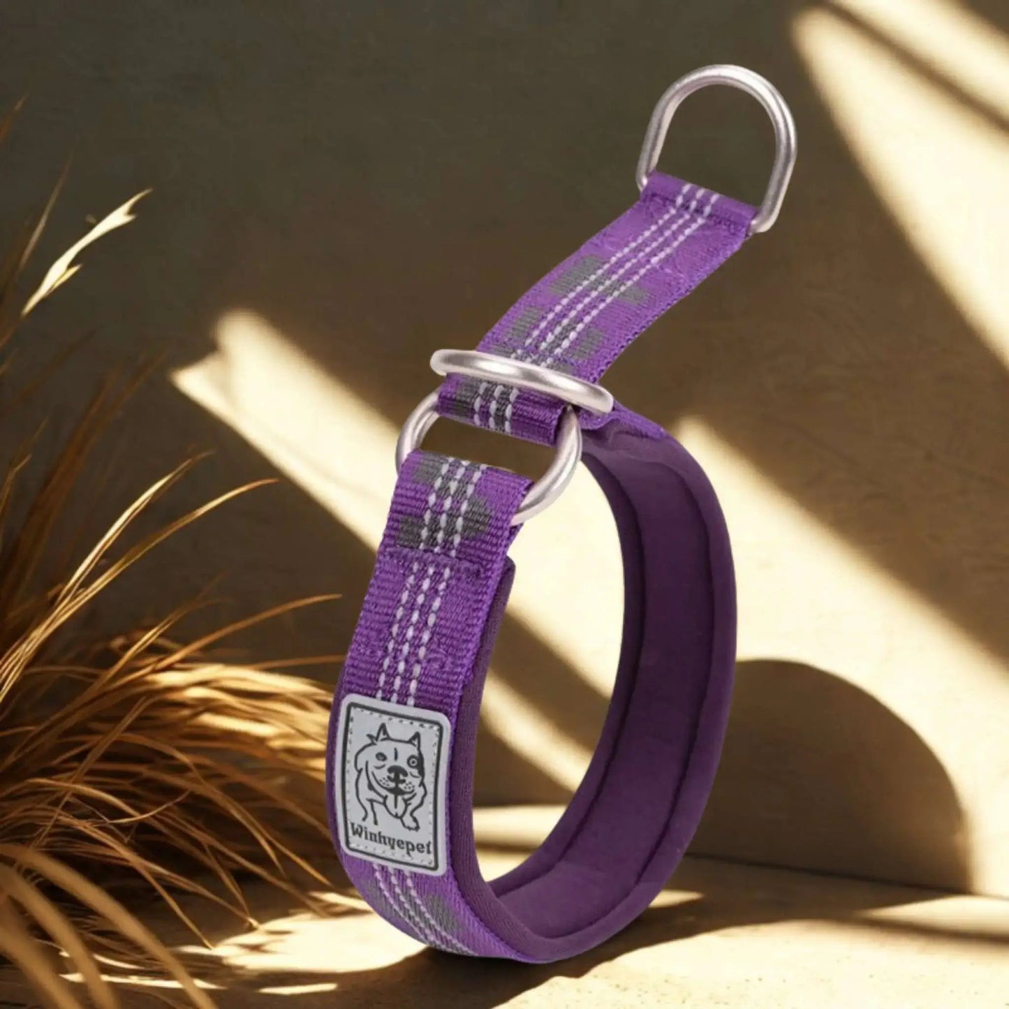 Collier Martingale | Brindille™️ - Confort & Sécurité