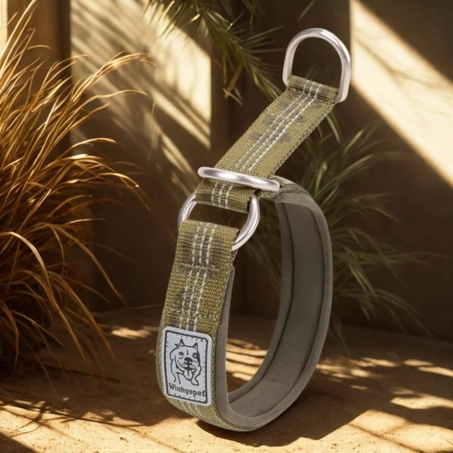 Collier Martingale | Brindille™️ - Confort & Sécurité