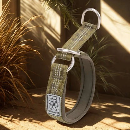 Collier Martingale | Brindille™️ - Confort & Sécurité