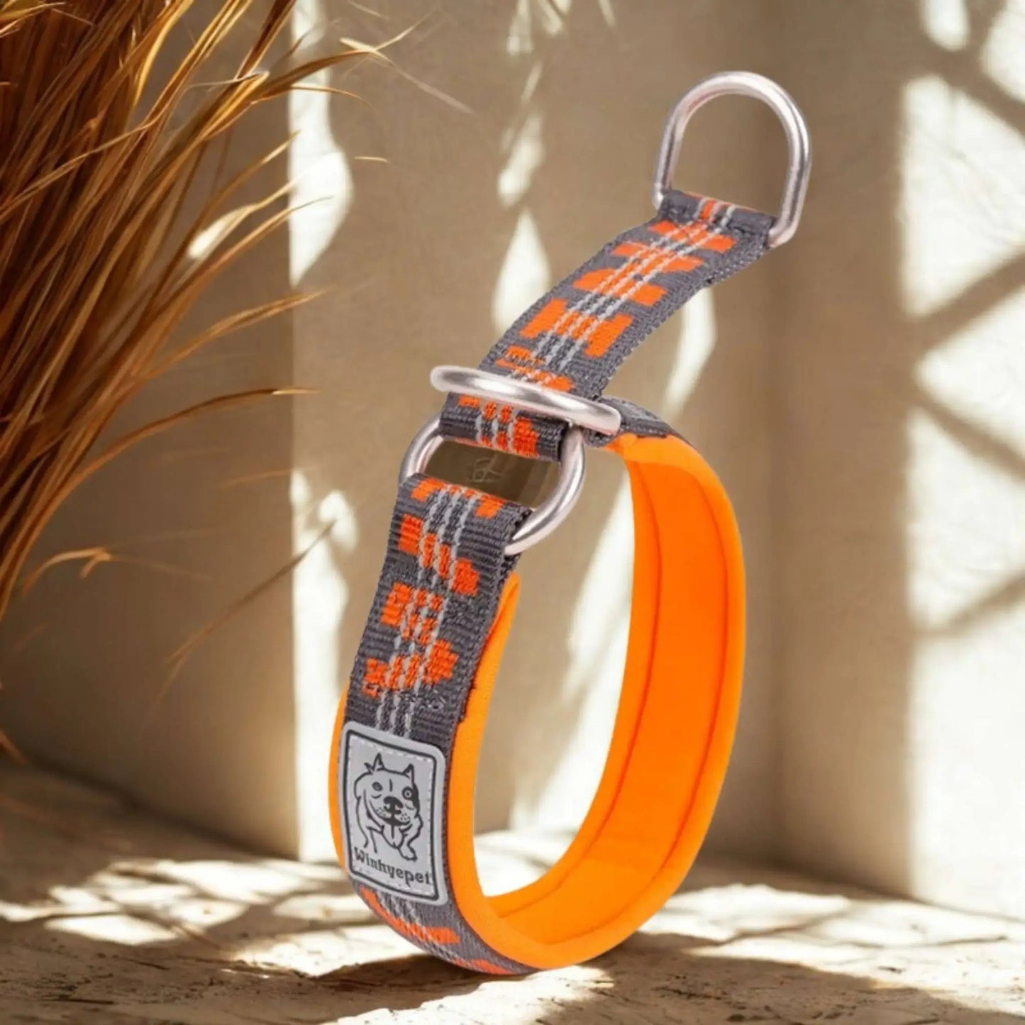 Collier Martingale | Brindille™️ - Confort & Sécurité