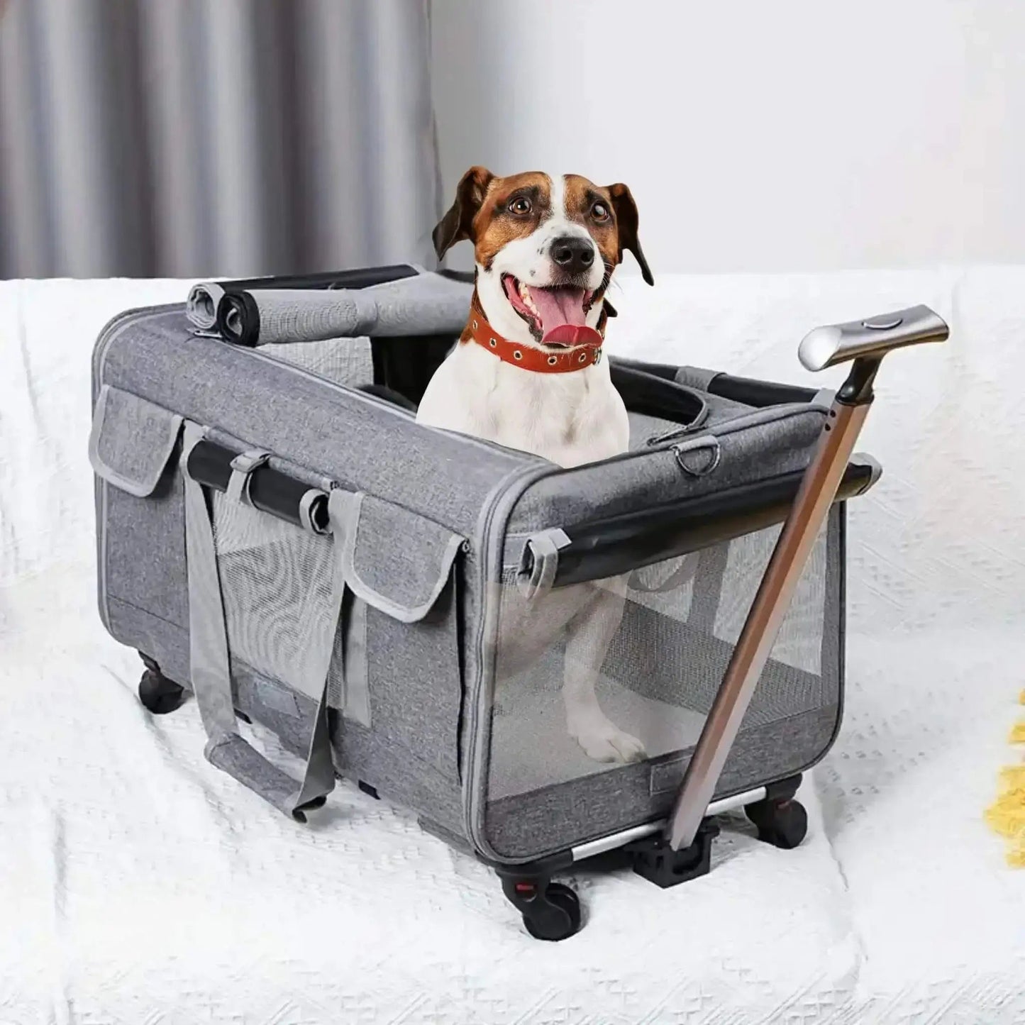 Sacs De Transport Pour Chiens | CaniRoule™️ - Chariot |Jolianimaux