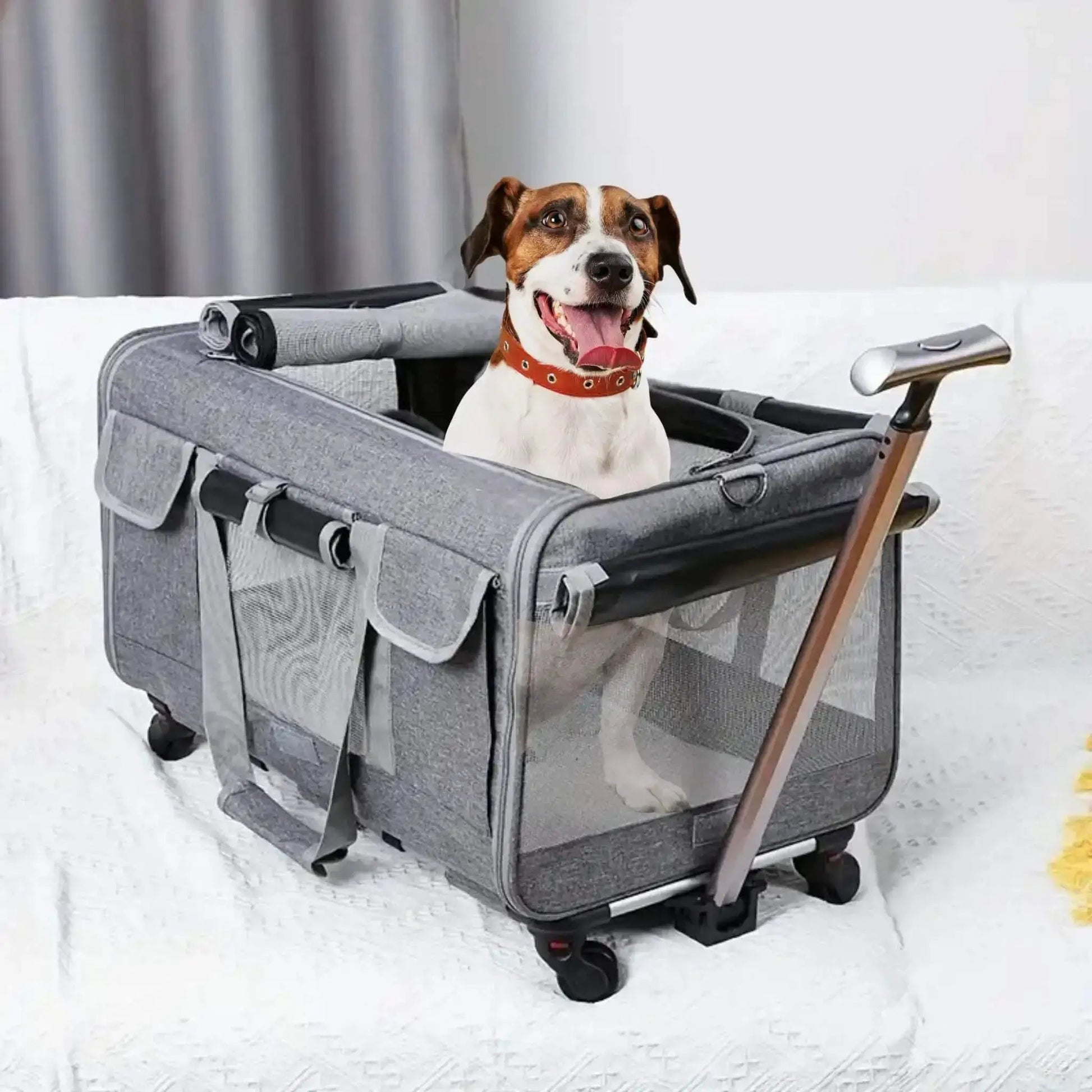 Sacs De Transport Pour Chiens | CaniRoule™️ - Chariot |Jolianimaux