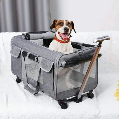 Sacs De Transport Pour Chiens | CaniRoule™️ - Chariot |Jolianimaux