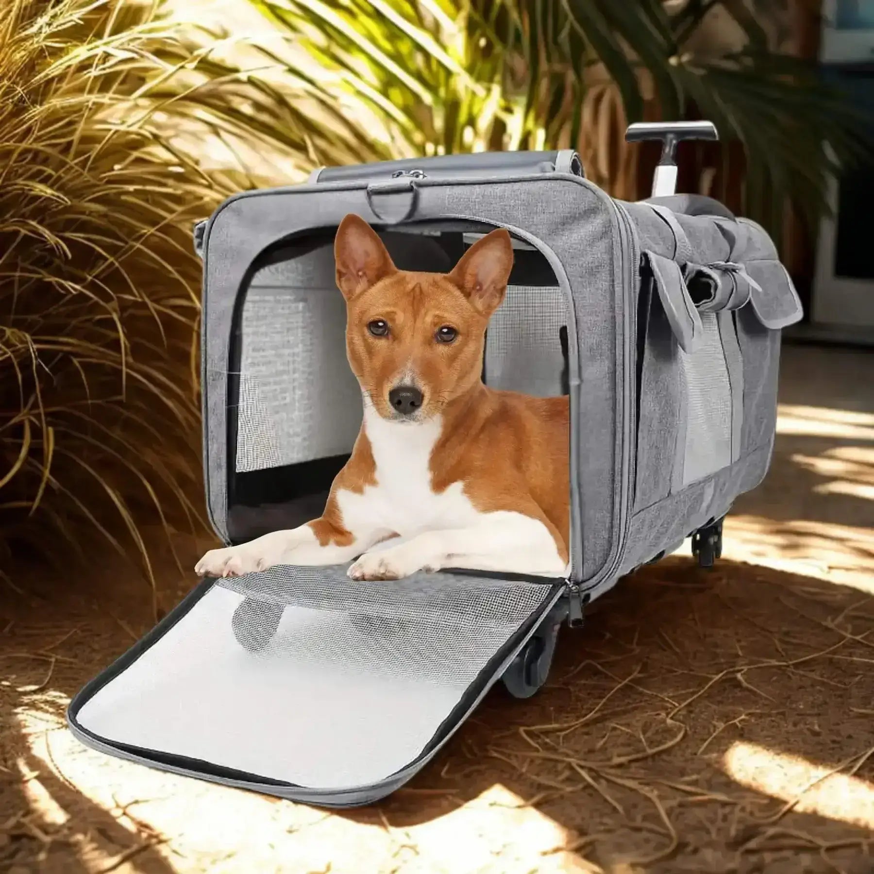 Sacs De Transport Pour Chiens | CaniRoule™️ - Chariot |Jolianimaux