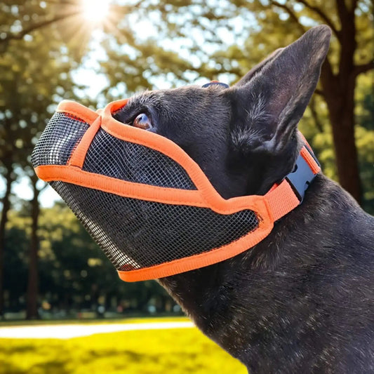 Muselière pour bouledogue Français | MuseConfort™️ - Sécurité |Jolianimaux