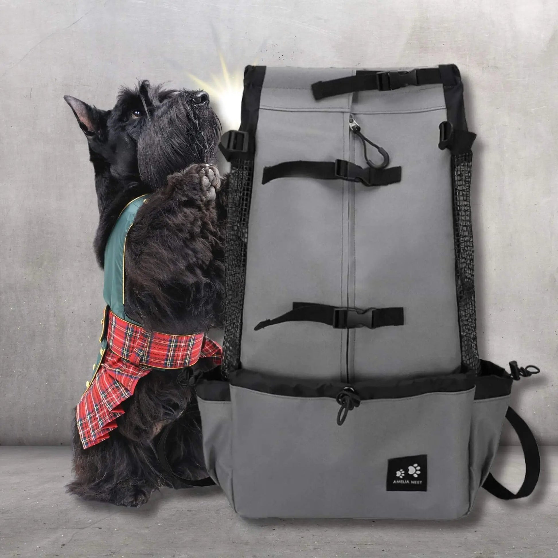 Sac A Dos Pour Chien | WoofTrip™️ - Promenade Confortable |Jolianimaux