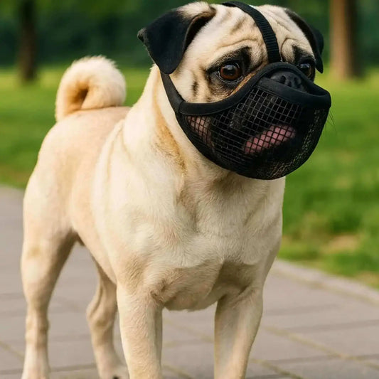 Muselière Bouledogue Français | MuseRassure™️ - Sécurité & Confort |Jolianimaux