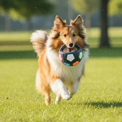 Un colley courant sur la pelouse avec sa balle pour chien indestructible noir.