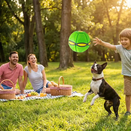 Une famille en pique-nique avec le garçon qui joue avec un Boston terrier et sa balle pour chien indestructible verte.
