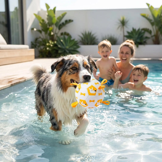 Un berger australien dans la piscine avec une femme et ses enfants tient dans sa bouche un ballon pour chien.
