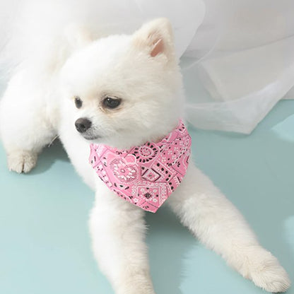 bandana chien bichon maltais bandana rose