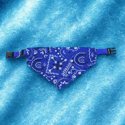 bandana chien couleur bleu
