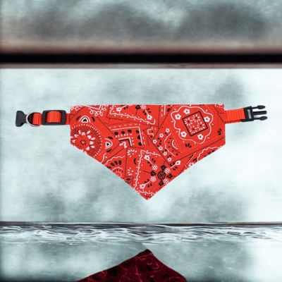 bandana chien couleur rouge
