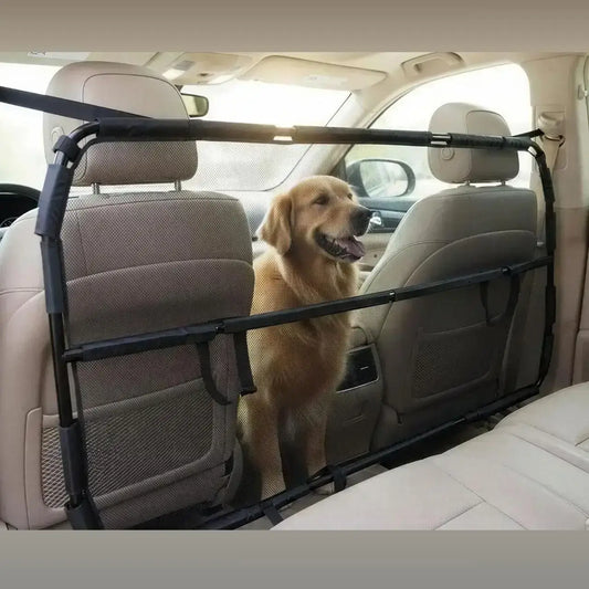 Un labrador derrière la barrière pour chien pour voiture.