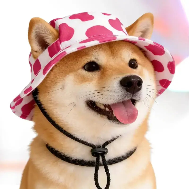 Un shiba inu avec un chapeau style bob rose et blanc.