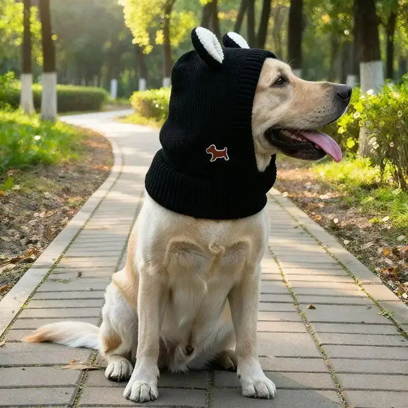 Vu de profil, un labrador assis sur un trottoir porte le bonnet pour chien desin lapin.