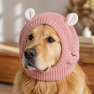 Un golden retriever avec un bonnet rose.