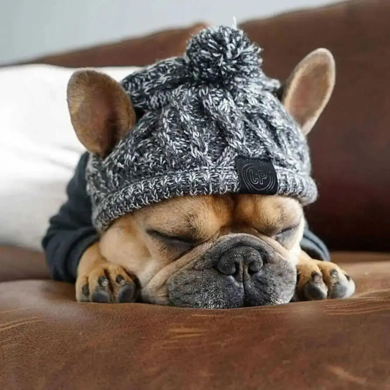 Un chiot bouledogue français endormi avec son bonnet pour chien gris.