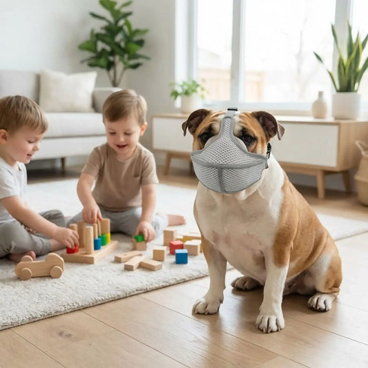 Un bouledogue anglais assis dans un salon avec des enfants porte une muselière pour bouledogue français.