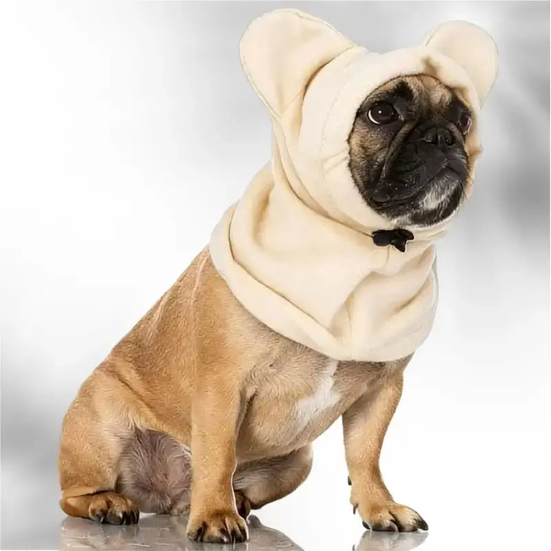 Un bouledogue français vêtu d'un cache-oreilles pour chien beige polaire.