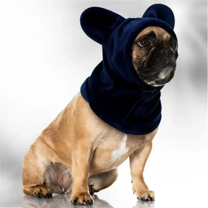 Un bouledogue français vêtu d'un cache oreille pour chien bleu marin avec design oreille de lapin.