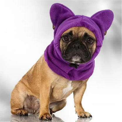 Un bouledogue français vêtu d'un cache oreille pour chien violet.