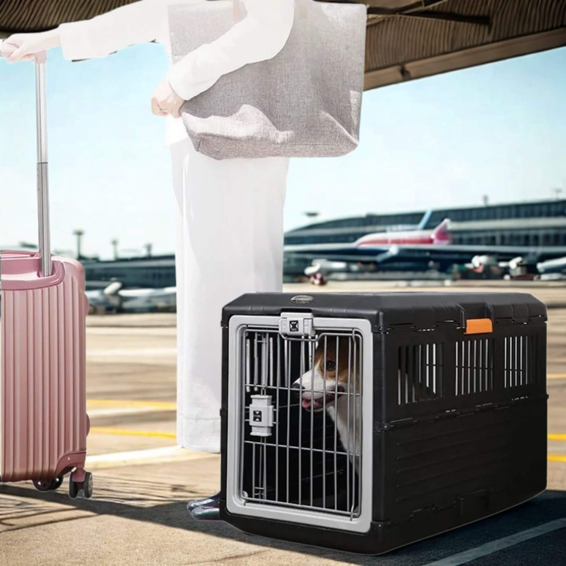 Femme avec une valise à l'entrée de l'aéroport avec la cage de transport pour chien à sa droite