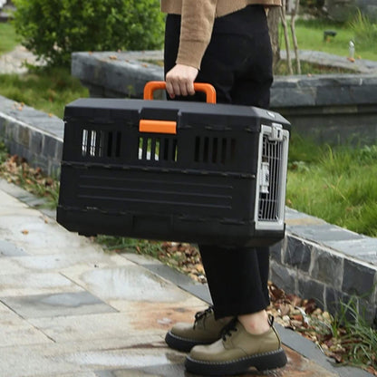 Femme tient à la main une cage de transport pour chien sur un trottoir de pierre 