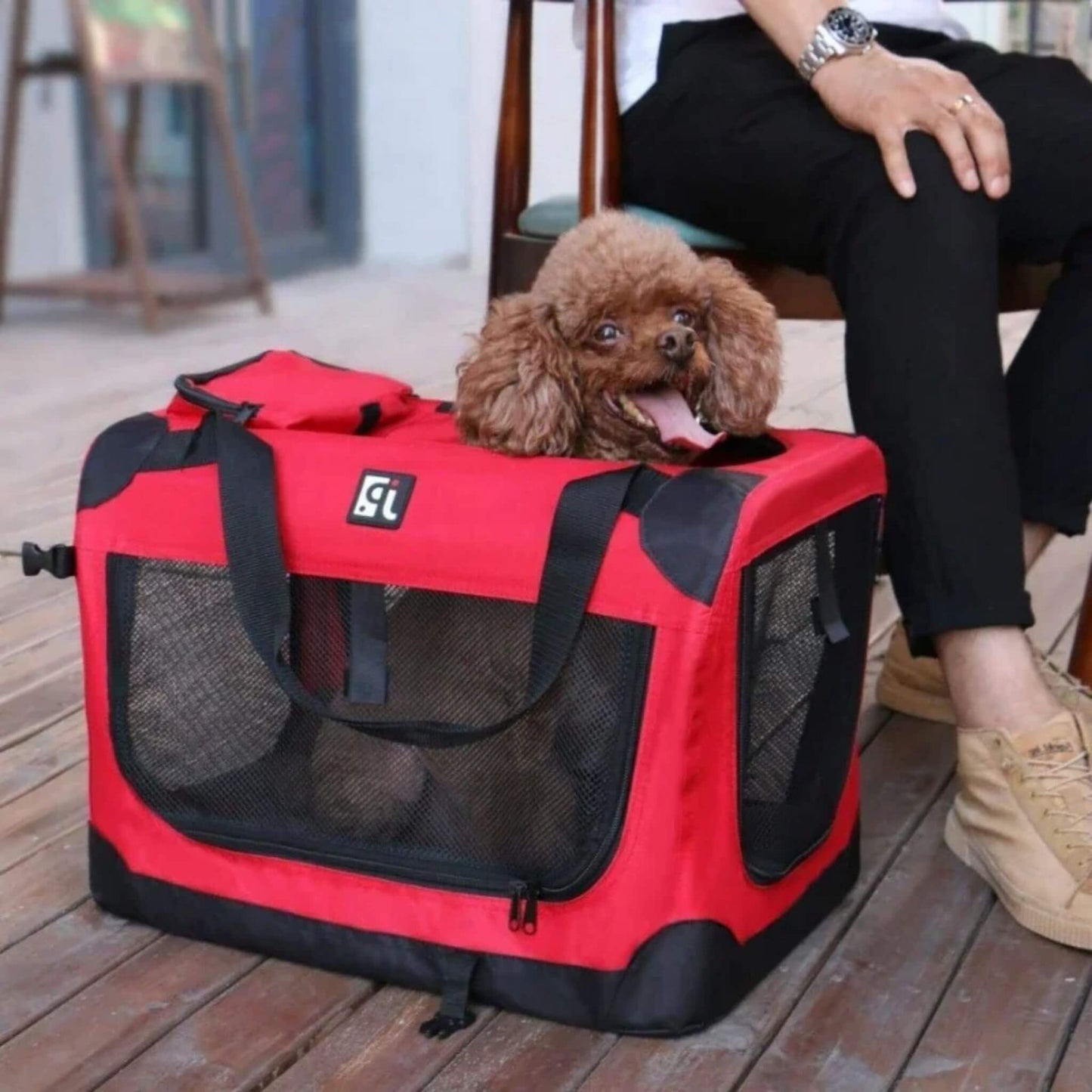 Une cage de transport rouge souple contenant un caniche brun, avec un homme assis à ses côtés.