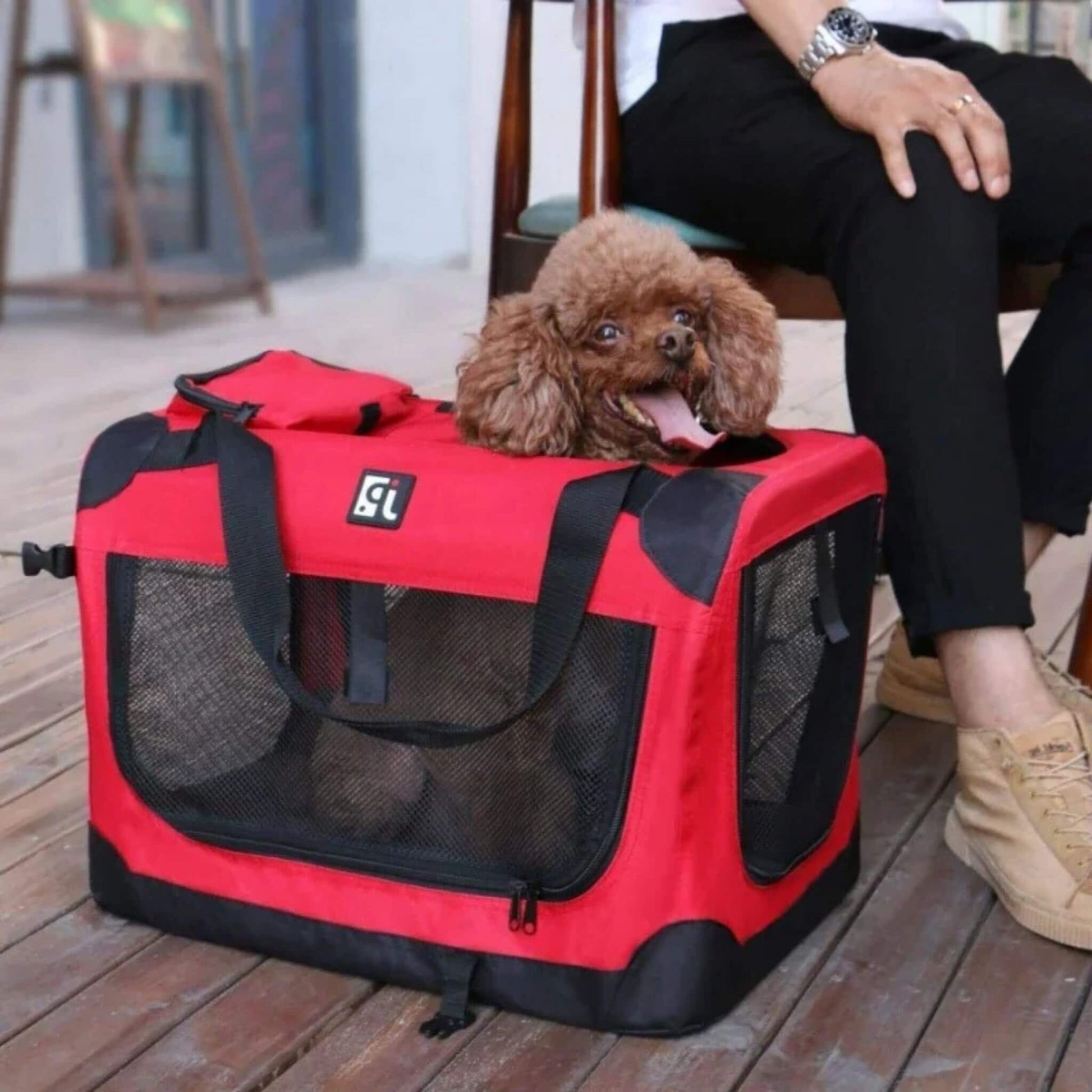 Une cage de transport rouge souple contenant un caniche brun, avec un homme assis à ses côtés.