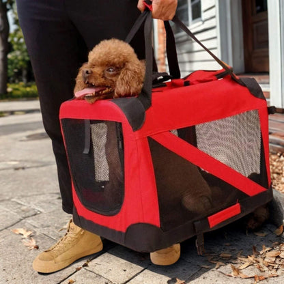 Un homme portant une cage souple rouge avec un caniche brun à l'intérieur sur le portique de sa maison