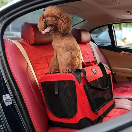 Un caniche dans sa cage de transport pour chien rouge sur le siège arrière d'une voiture.