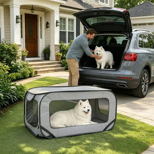 Un homme avec ses deux spitz japonais, un dans la caisse pour chien de voiture grise, sur la pelouse.