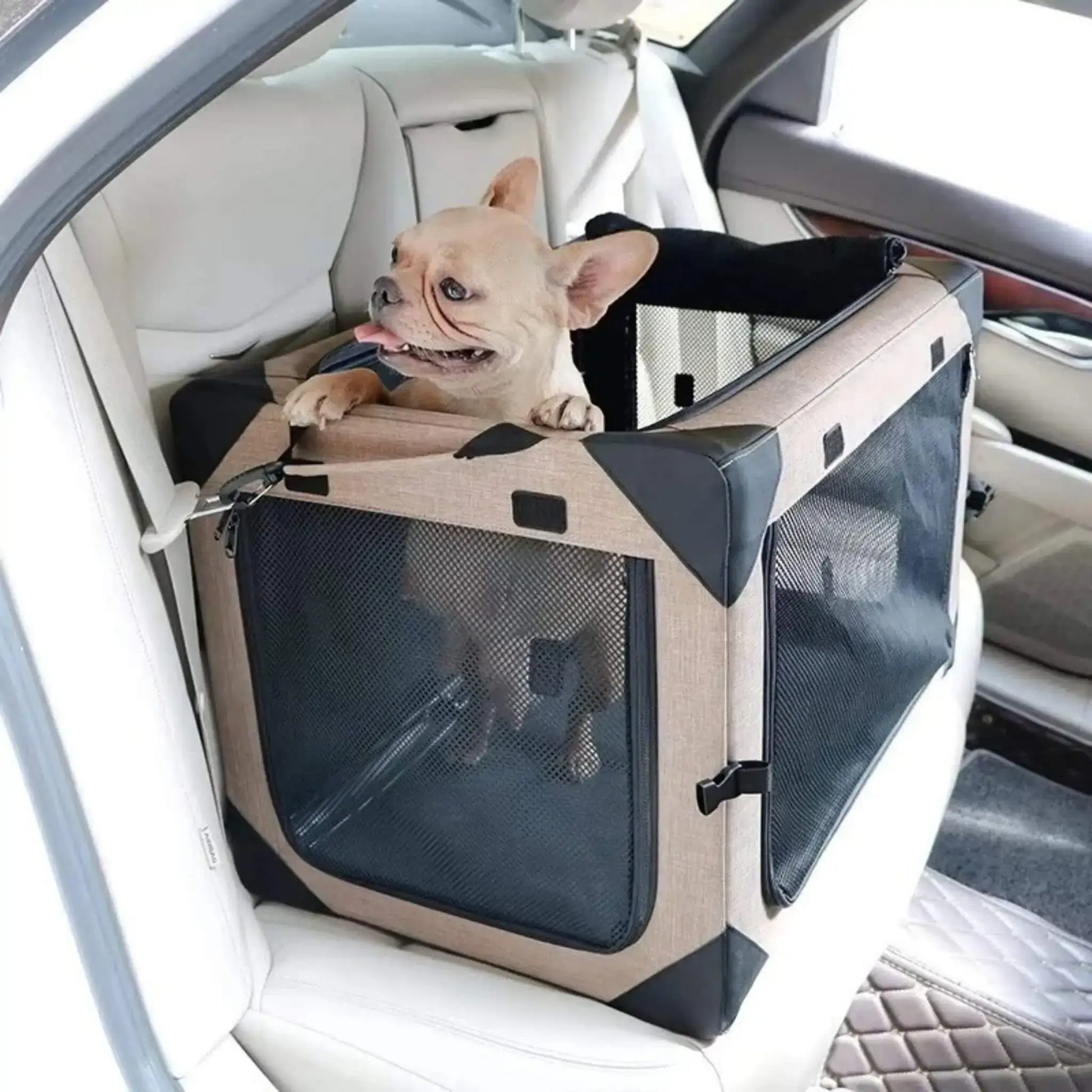 Un bouledogue français dans la caisse de transport pour chien pliable beige  sur un siège arrière d'une voiture.