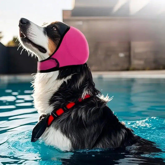 Un labrador avec un casque anti-bruit de couleur rose rouge
