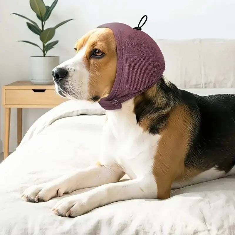 Un beagle allongé sur un lit porte le casque antibruit pour chien rouge.