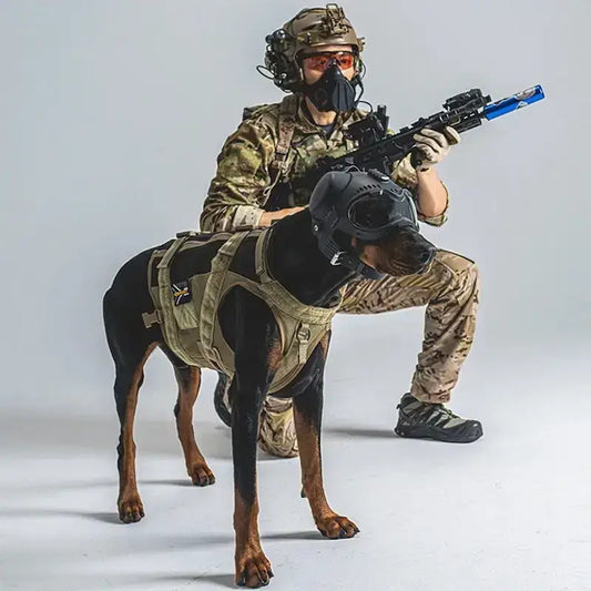 Un individu habillé de manière militaire accompagné de son Doberman qui arbore un casque pour chien.