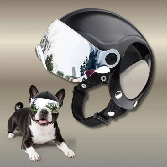 Un Boston terrier avec un casque pour chien de moto avec une visière argentée.