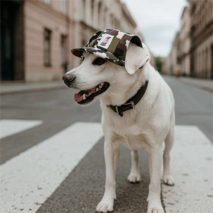 Un labrador blanc se promenant sur le trottoir en ville avec sa casquette chien couleur camouflage.  
