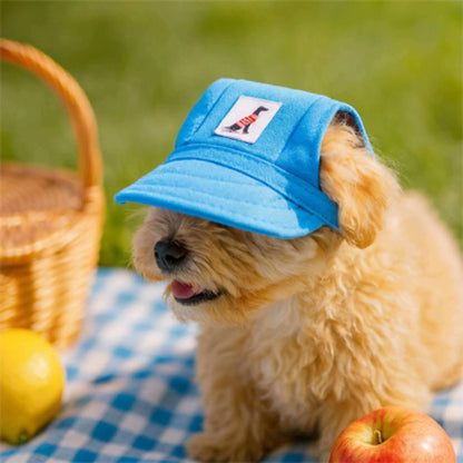 Un Shih Tzu en pique-nique sur une couverture à carreaux avec sa casquette chien bleu.