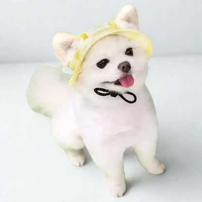 Un spitz japonais est vêtu d'une casquette pour chien jaune.