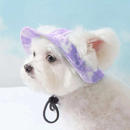 Un bichon frisé est vêtu d'une casquette pour chien violette.