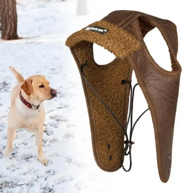 Un labrador avec un chapeau pour chien marron.