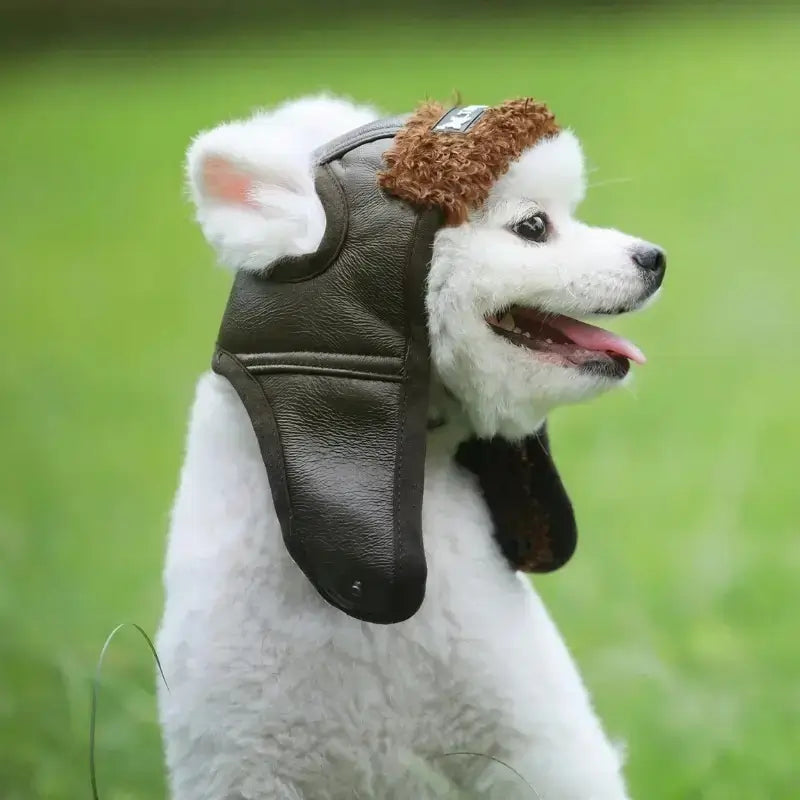 Vu latéral d'un bichon frisé avec un chapeau pour chien vintage de couleur marron.