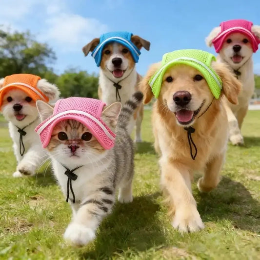 Plusieurs chiens et chats marchent sur une pelouse avec leurs chapeaux pour chiens.
