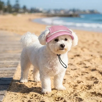 Un bichon frisé sur la plage avec son chapeau pour chien rose.