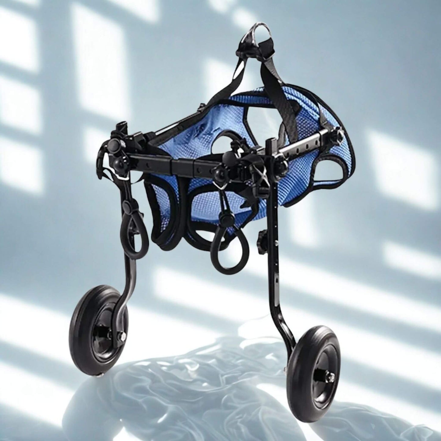 Un chariot pour chien handicapé de couleur bleue avec deux roues arrière